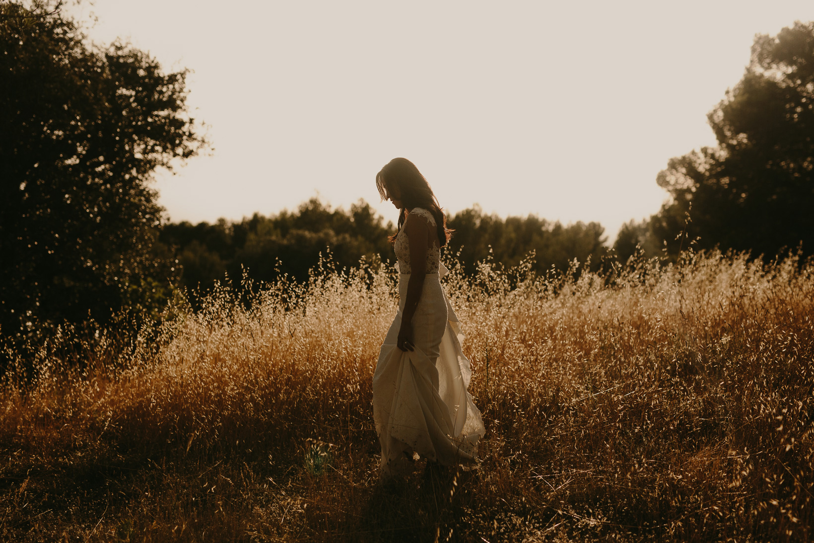 lavender fields wedding france